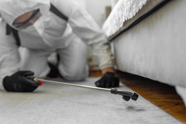 Professional Cockroach Control technician working in Iowa, LA