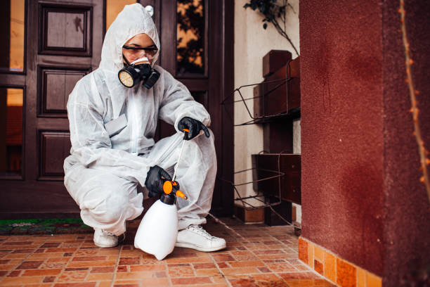 Reliable Cockroach Control contractor in Iowa, LA by Nex Pest Control